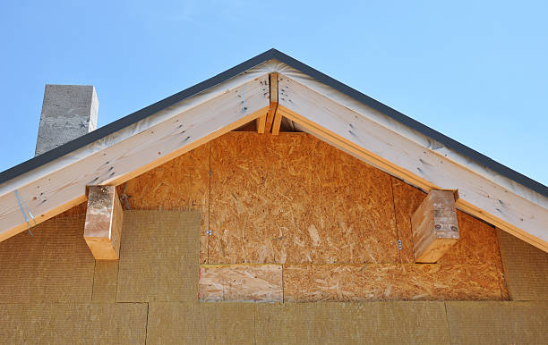 Affordable Siding Repair and Maintenance Services in Algona, IA